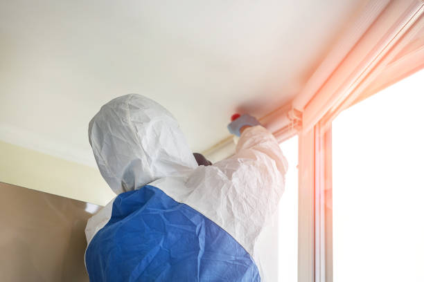 Forensic Mold Investigation in Amite City, LA